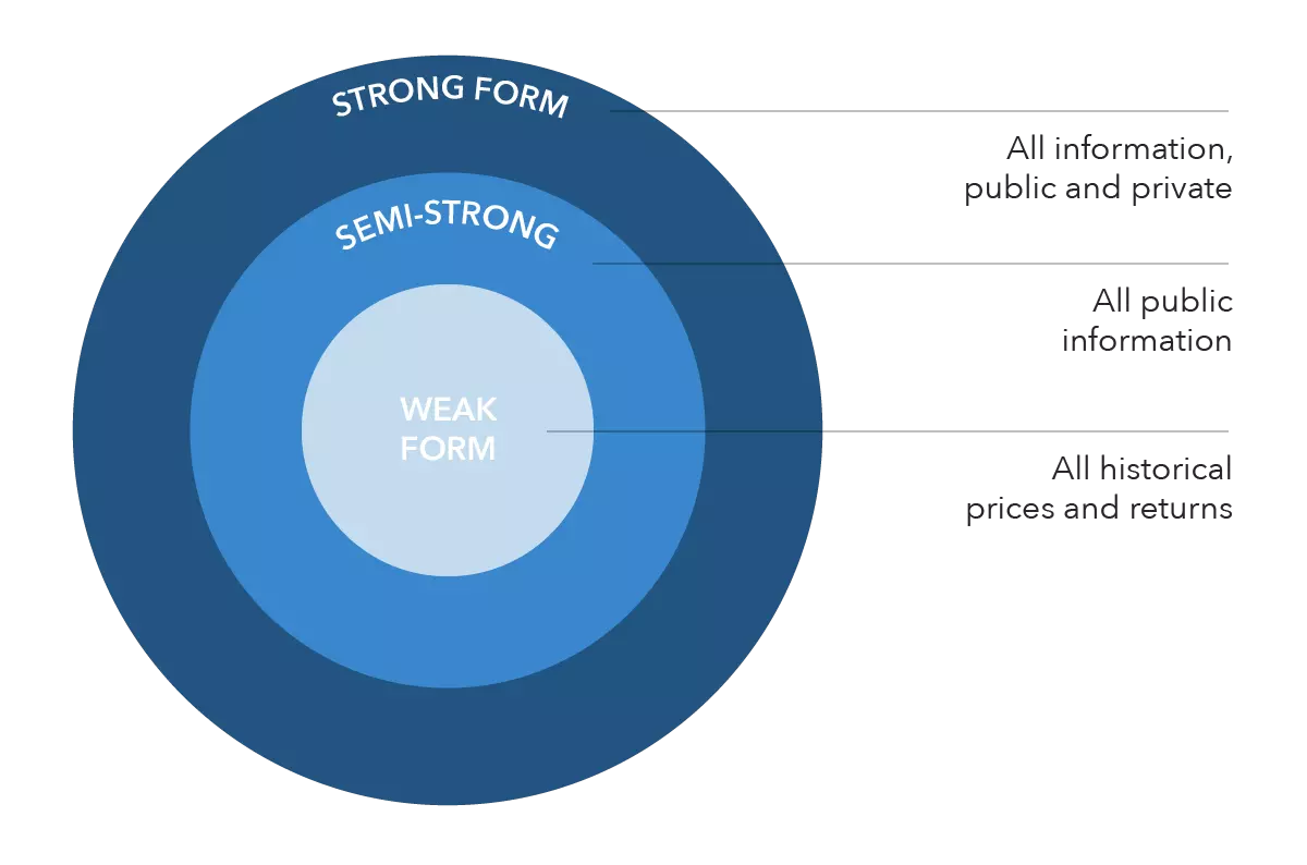 Beyond the Efficient Market Hypothesis Capitalizing on Modern Market Anomalies