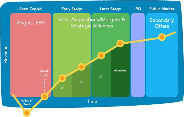 Startup Trends 2024